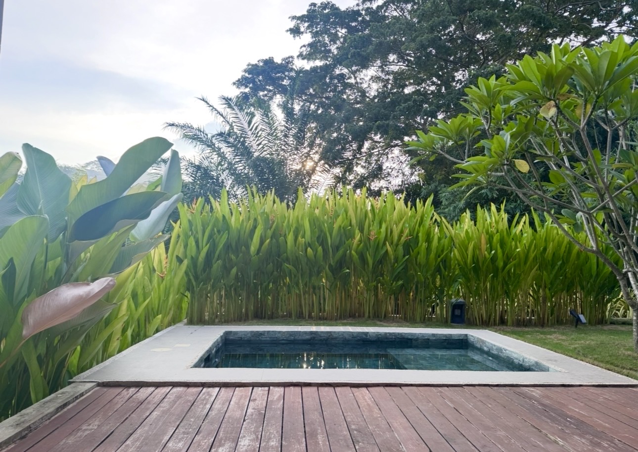 Villa A private plunge pool at sunrise